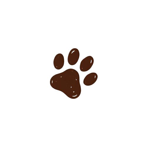 WhyPetsDo